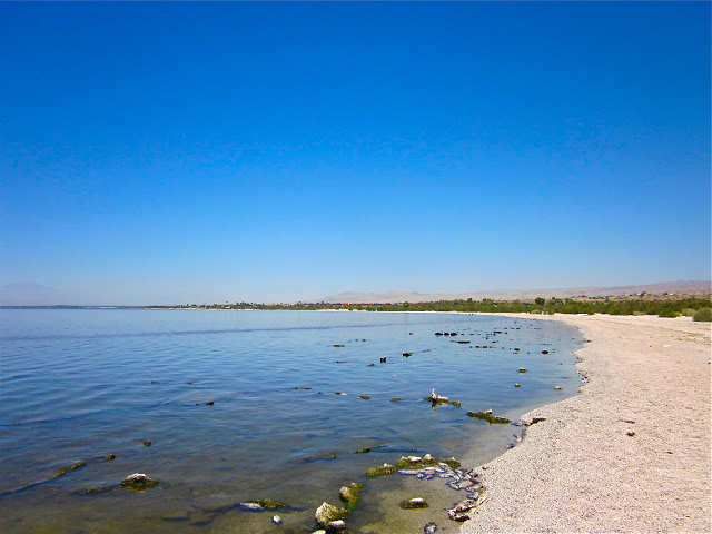 salton sea beach
