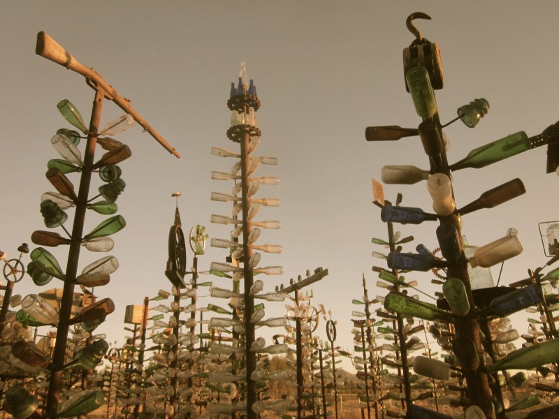 Elmer's bottle tree ranch
