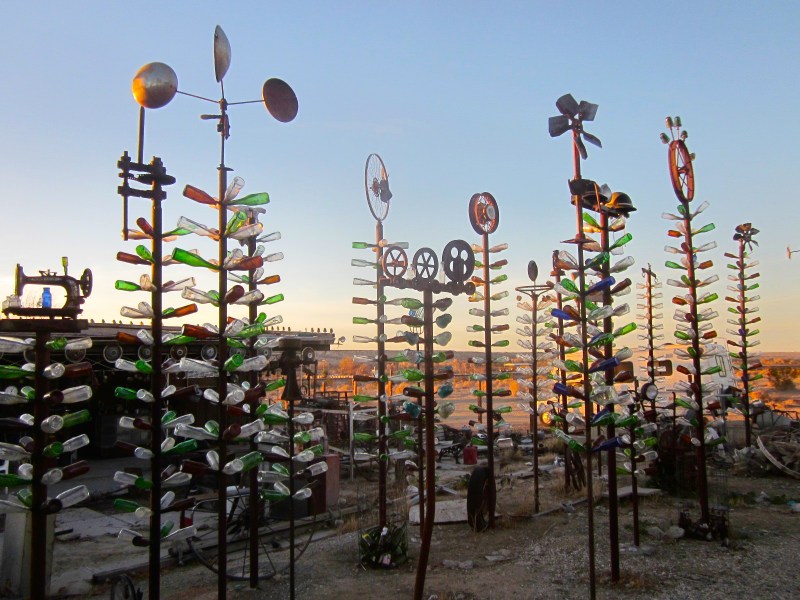 so many bottles and trees