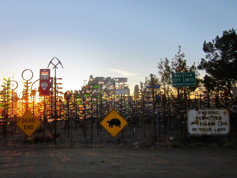 Outside of the bottle tree ranch. You can just park in front off the road
