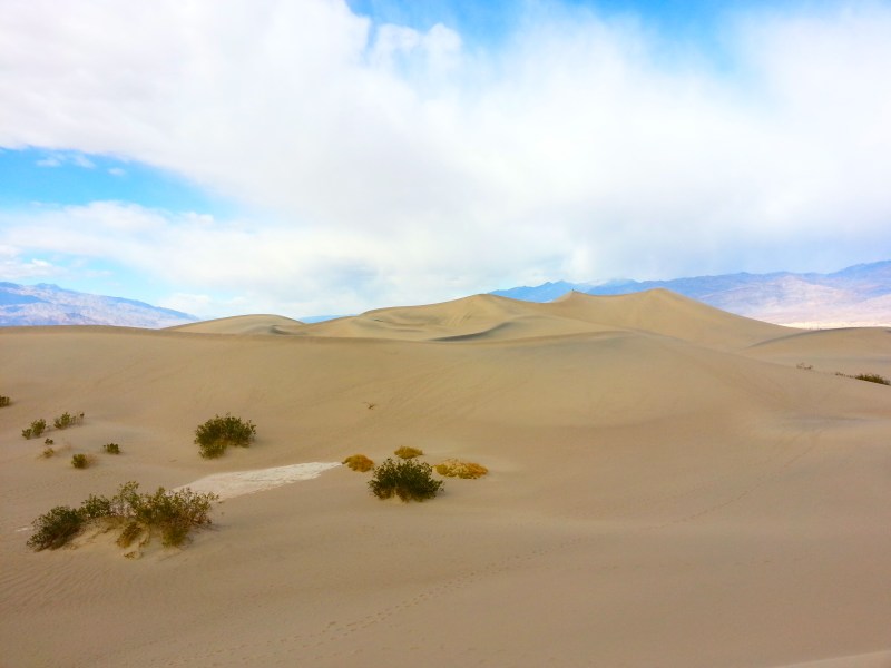 mesquite sand dunes