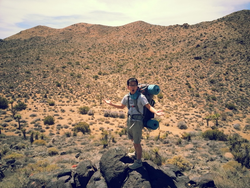 Observing the view after climbing on a little hill