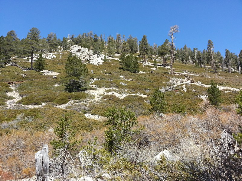 san gorgonio 1