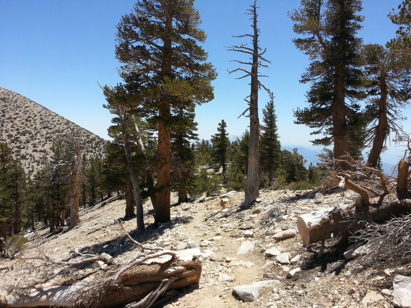 The terrain is rocky, so make sure to wear good shoes