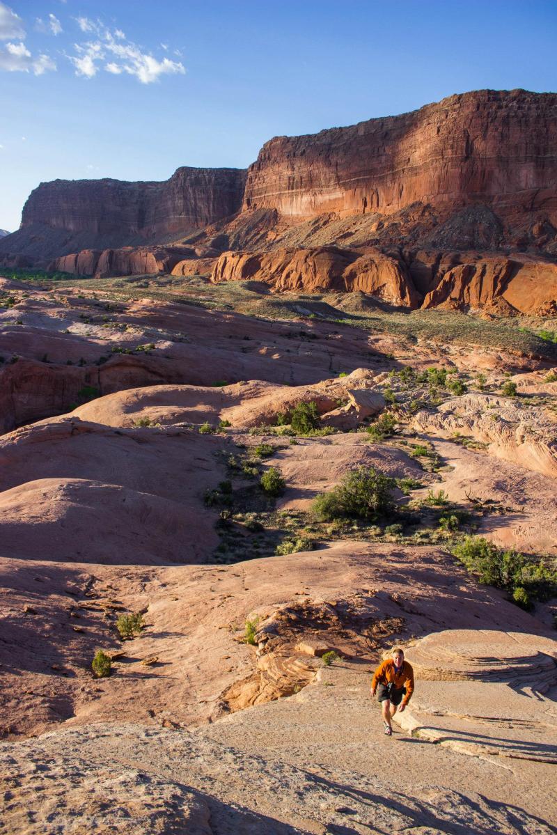 10011699_10153218770781425_1012982239680626771_o