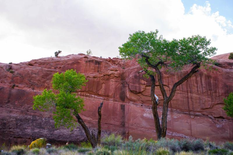 11082206_10153218770491425_261038324075373972_o