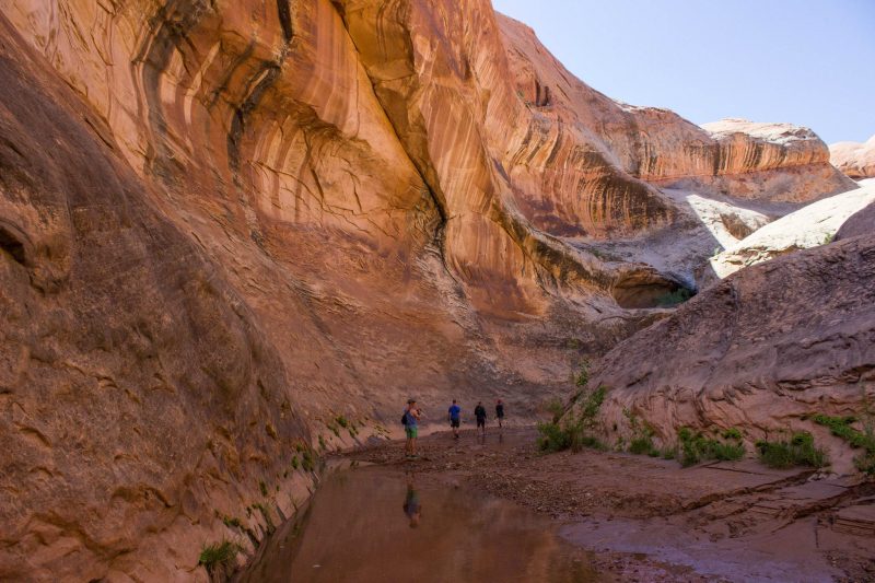 1614488_10153218771521425_349689118355698381_o